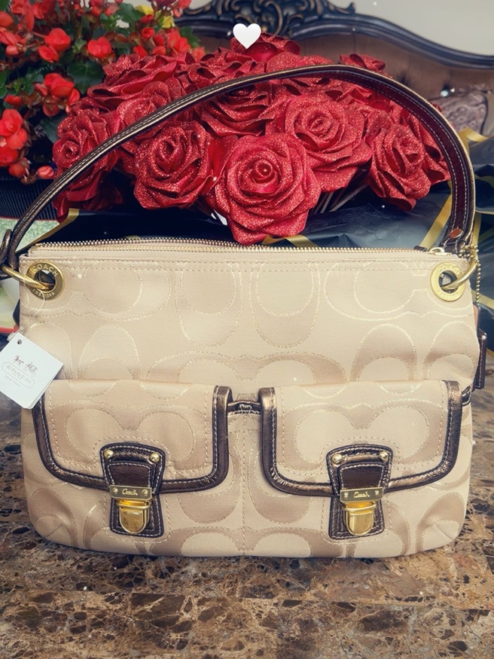 COACH POPPY METALLIC SIGNATURE SATEEN HIPPIE